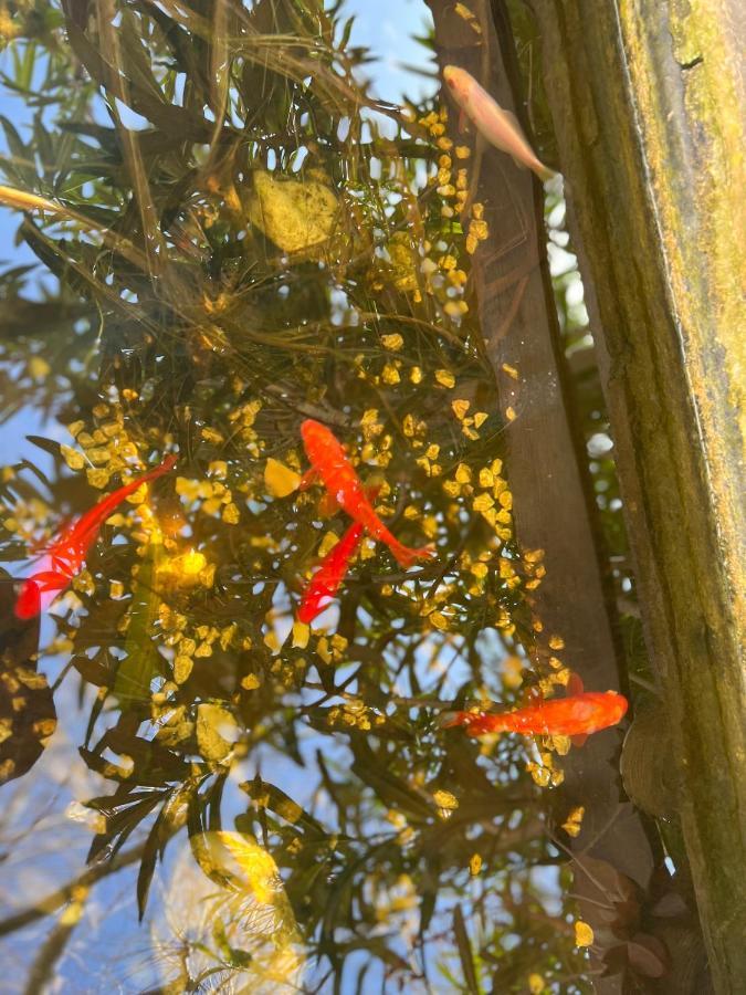 蒙特Mas De L'Estiou公寓 外观 照片